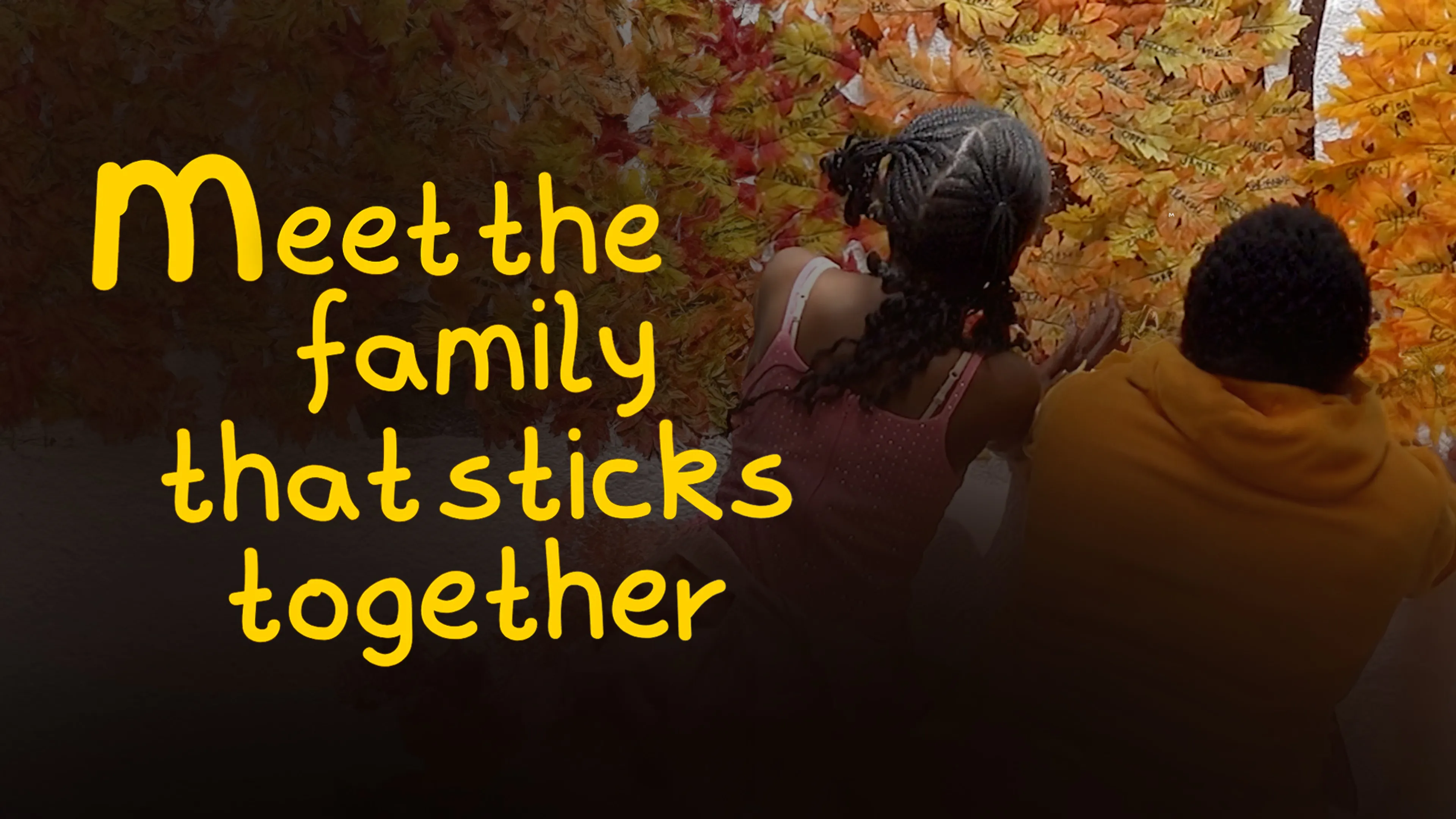 Meet the Family That Sticks Together poster